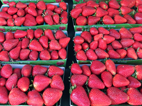 strawberries