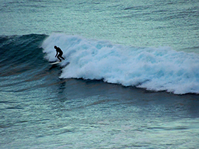 Surfer